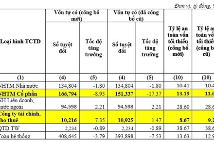 NHNN công bố lại thông tin thống kê một số chỉ tiêu cơ bản của các TCTD đến 31.1.